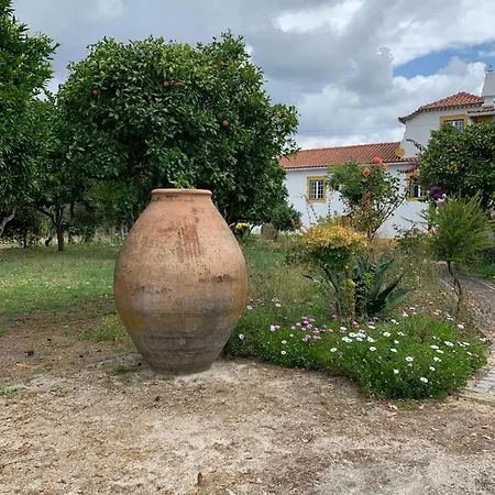 Holiday home Quinta Da Barca Nemo *