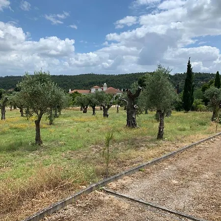 Holiday home Quinta Da Barca Nemo Abrantes